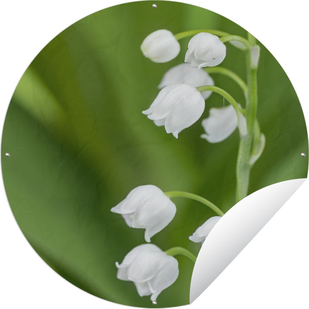 MuchoWow Gartenposter Outdoor-Poster Rund Das Maiglöckchen in einer grünen Umgebung Ø 60 cm Gartendeko Rundes Poster draußen