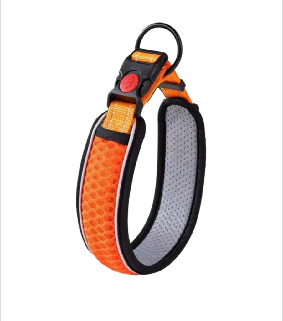 Collare Cane INF Arancio S Imbottito Traspirante: Sicurezza e Stile