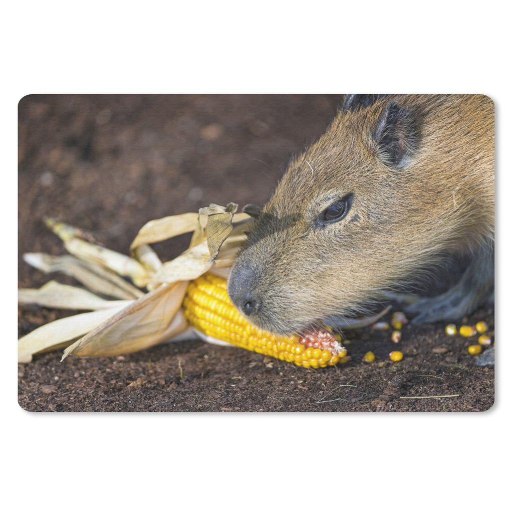 MuchoWow® Mauspad Mousepad Eine Nahaufnahme eines Produktbild 