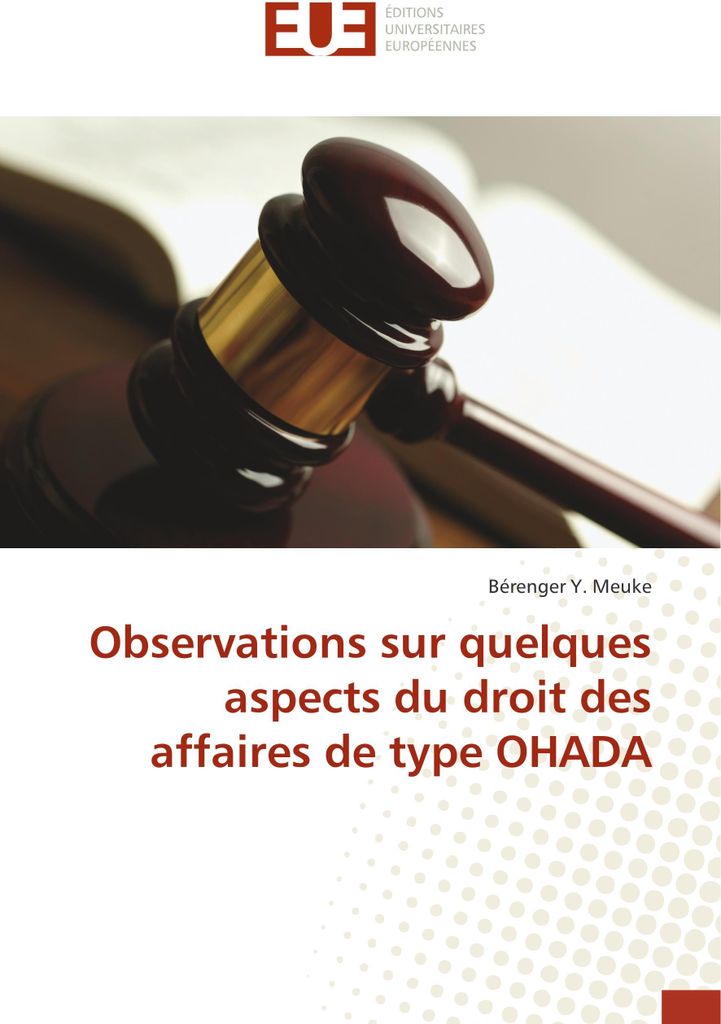 Observations sur quelques aspects du droit des affaires de type OHADA