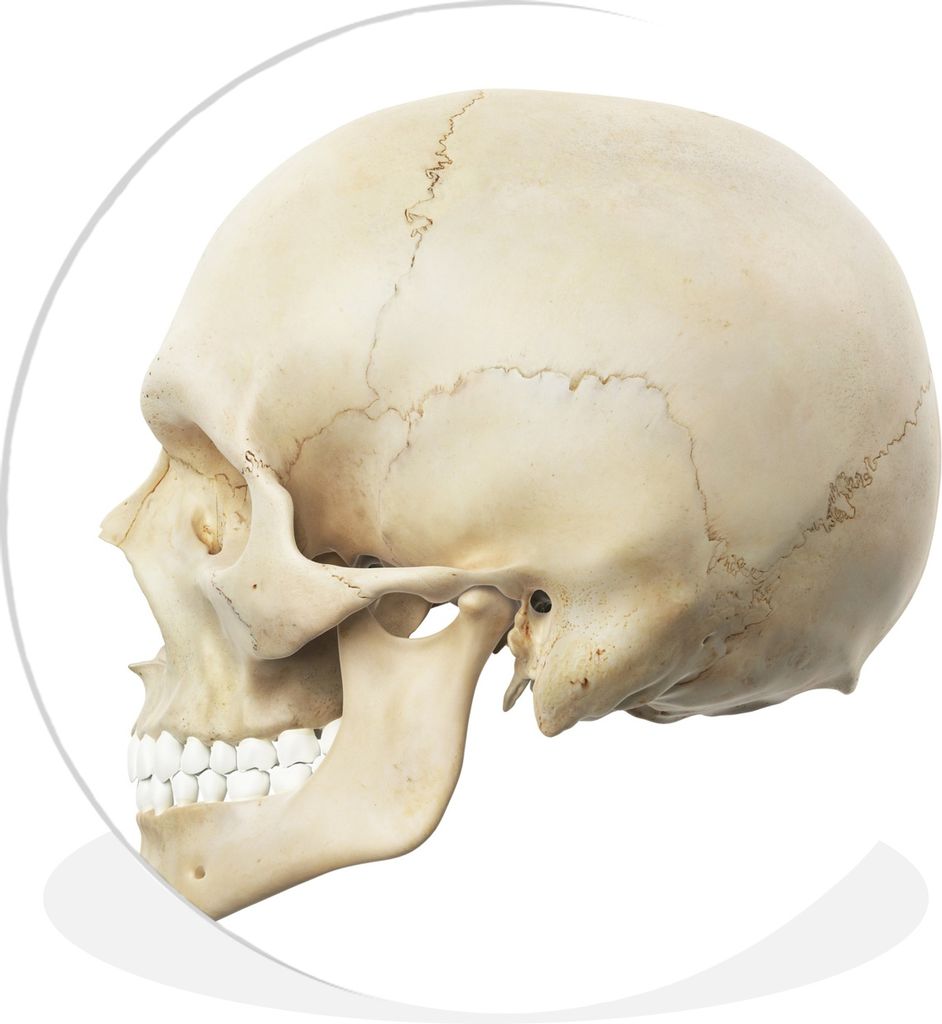 MuchoWow - Schlafzimmer - Bilder - Der Kreis - Kunst für die Wohnung - Plastik - Kunstdruck - Wandbild