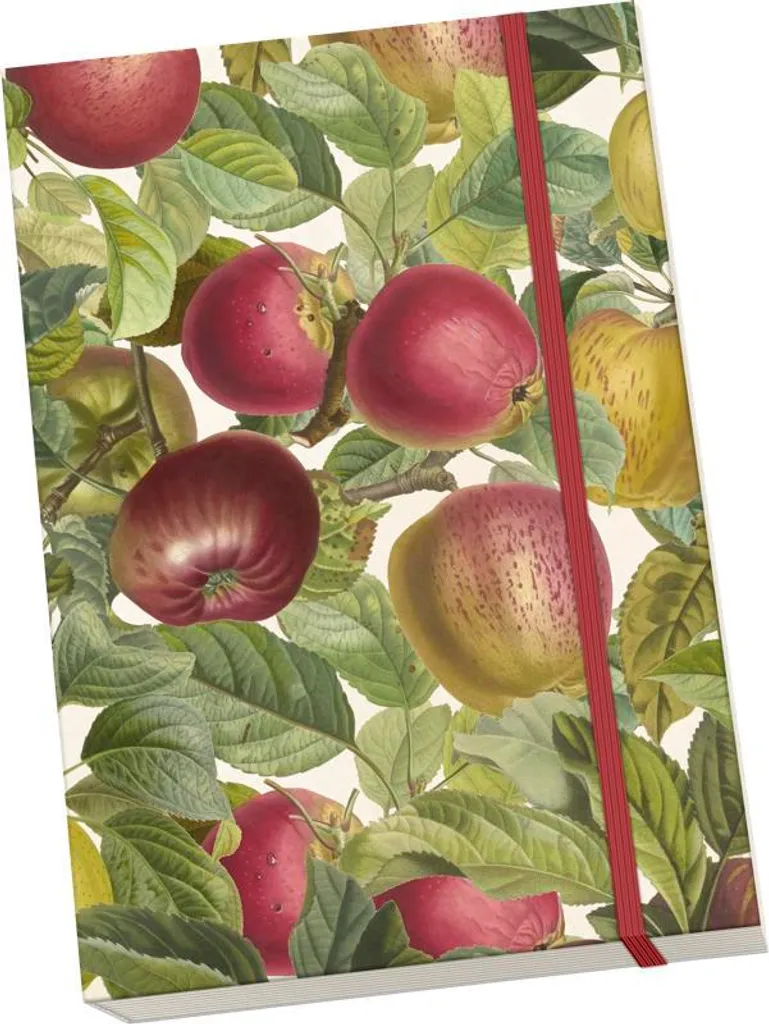 Quaderno decorativo A5 STNOTE 128 Albero di mele