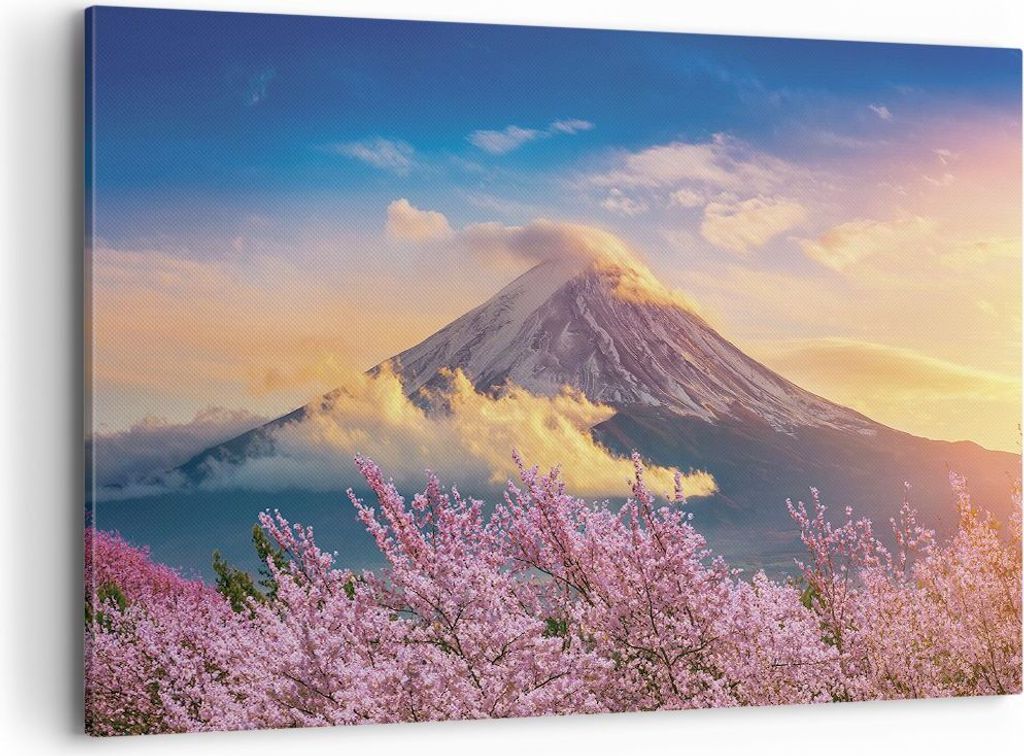 Bild auf Leinwand - Leinwandbild - Einteilig - Fuji Blume Kirsche - 100x70cm - Wand Bild - Wanddeko - Wandbilder - Leinwanddruck - Bilder - Wanddek...