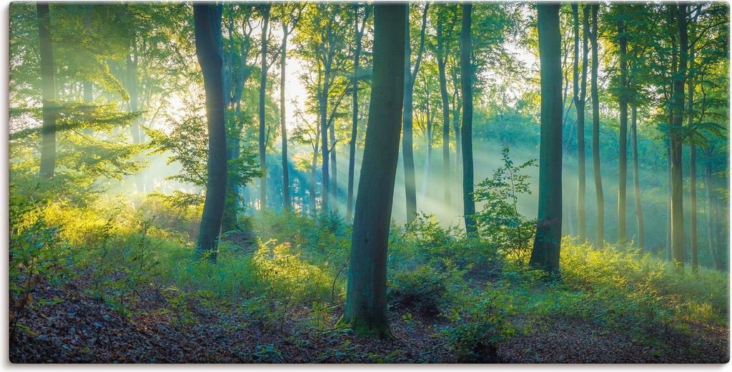 ARTland Leinwandbild Wald Panorama Größe: 150x75 cm