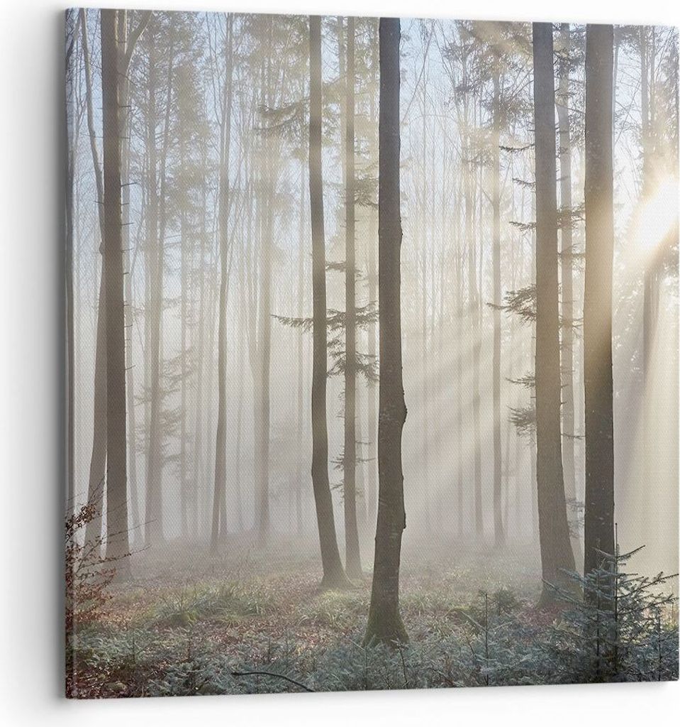 Bild auf Leinwand - Leinwandbild - Wald Baum Natur - 70x70cm - Wand Bild - Wanddeko - Wandbilder - Leinwanddruck - Bilder - Kunstdruck - Wanddekora...