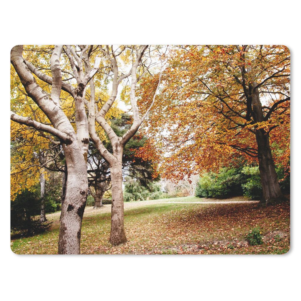 MuchoWow Mauspad Mousepad Herbst - Bäume - Laub - Natur 23x19 cm - Mousepads - Maus Mat - Pad - Mausunterlage - Schreibtischunterlage - Mauspad