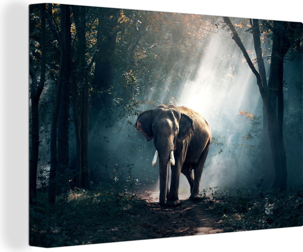 OneMillionCanvasses - Leinwandbilder - 150x100 cm, Elefant - Tiere - Licht - Wald - Natur - Wildtiere, Wandbilder Kunstdruck Wanddekoration - Fot...