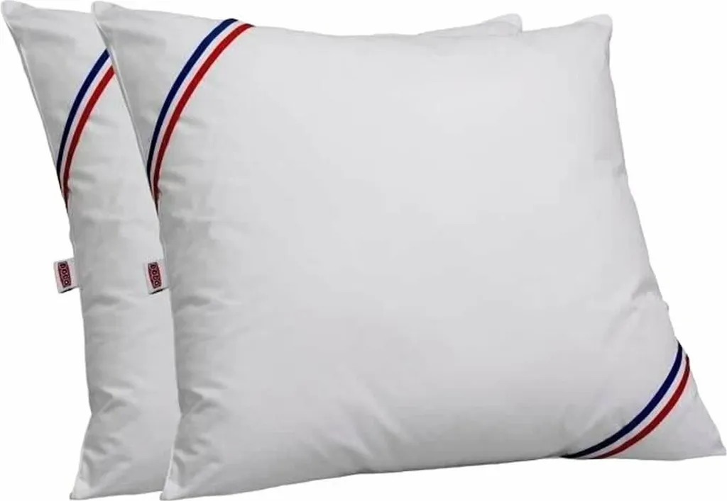 Coussin DODO 60x60 cm Lot de 2 - Idéal pour Sommeil Profond Blanc