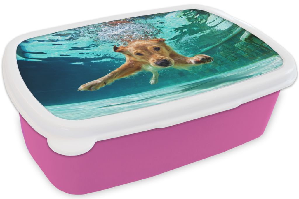KitchenYeah Lunchbox Brotzeit Brotdose 17x11 cm Pool - Hund - Wasser Kinder Brotzeitdose - Lunchpaket - Brotkasten - Sandwich Box