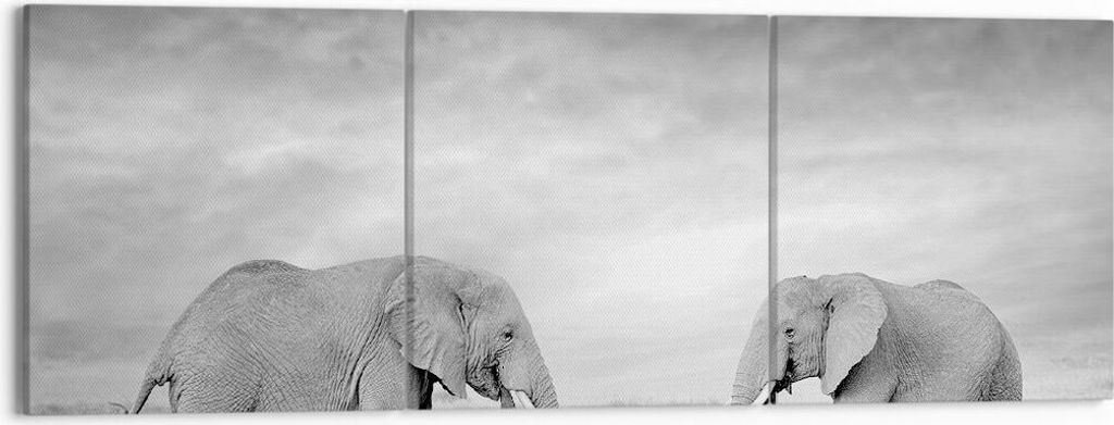 Bild auf Leinwand - Leinwandbild - 3 Teile - Elefanten Schwarzweiß Safari - 150x50cm - Wand Bild - Wanddeko - Wandbilder - Leinwanddruck - Bilder ...