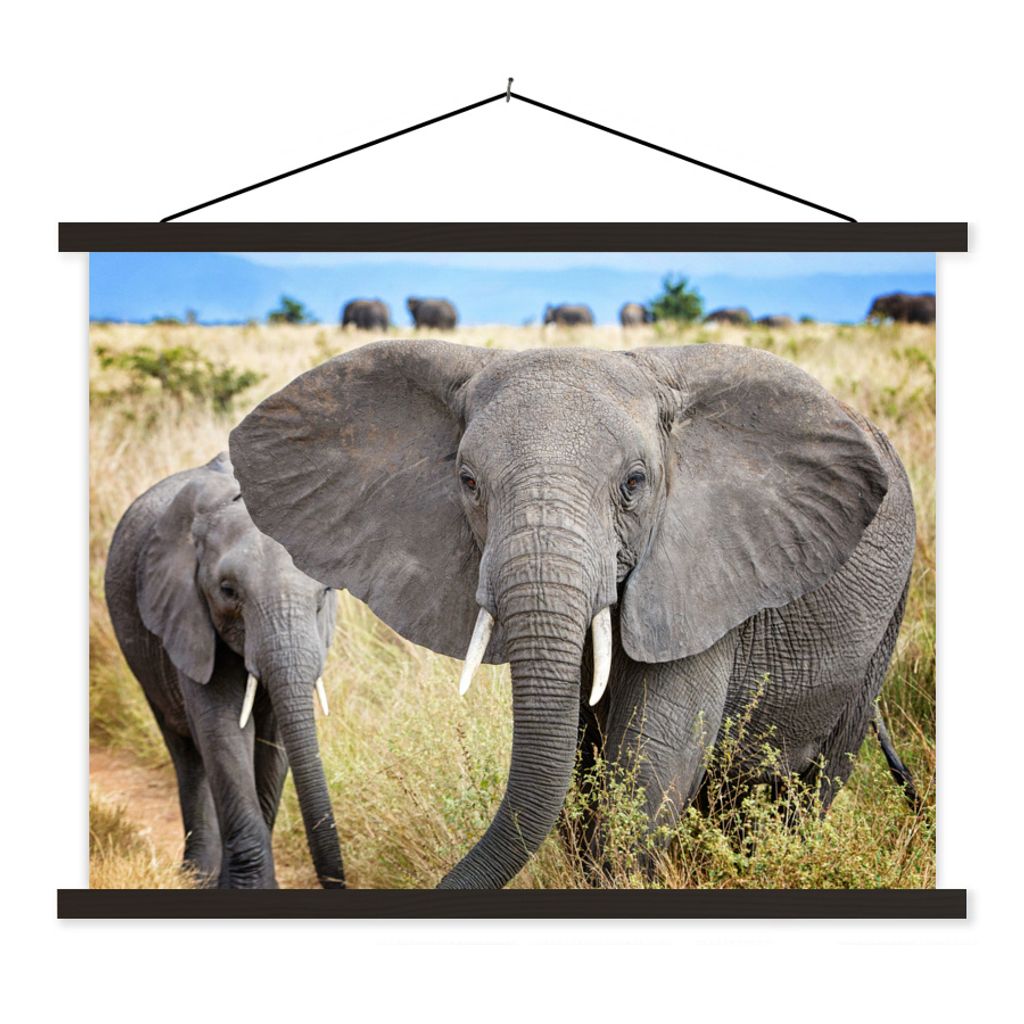 MuchoWow Textilposter Elefant - Tiere - Gras - Natur 120x90 cm mit schwarzem Rahmen - Aufhänger für Poster