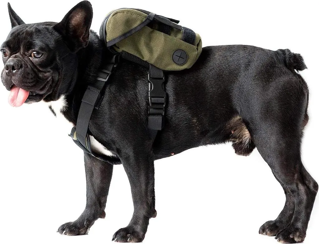 Sac à Dos Chien Eureka avec Distributeur Poop Bag et Maille Aérée