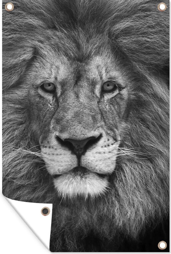 MuchoWow 80x120 cm Outdoor-Poster Gartendeko Sichtschutz Garten Poster für den Garten Tierprofil Persischer Löwe in schwarz und weiß