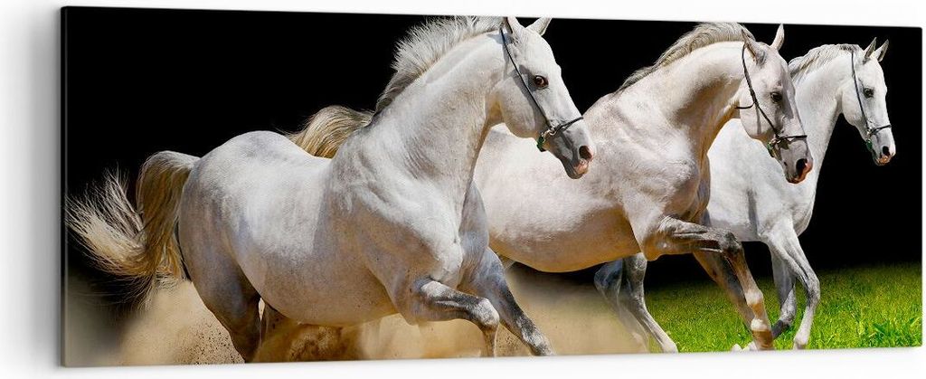 Bild auf Leinwand - Leinwandbild - Pferde Sand Gras - 140x50cm - Wand Bild - Wanddeko - Wandbilder - Leinwanddruck - Bilder - Kunstdruck - Wanddeko...