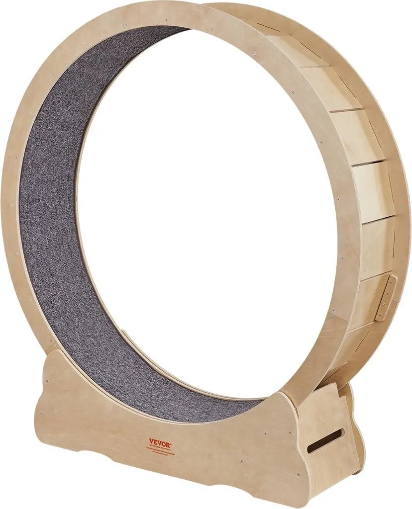 Roue pour chat d'intérieur idéale pour l'entraînement et la perte de poids