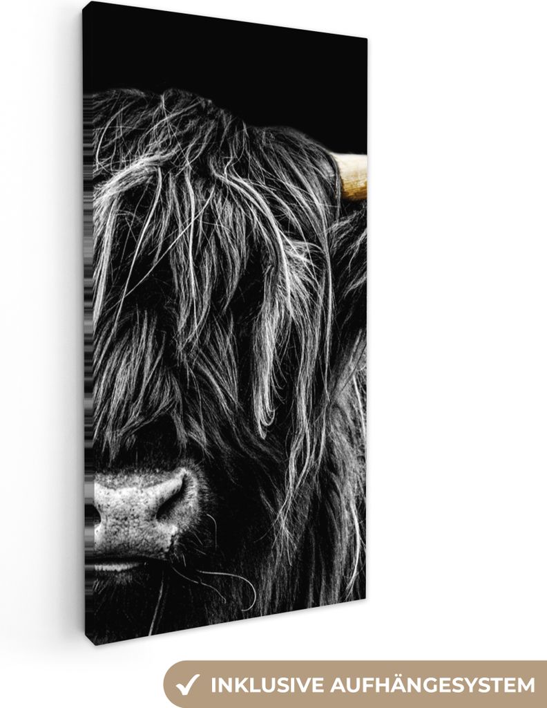MuchoWow - Leinwandbilder - Schottischer Highlander - Gold - Mantel - Tiere - Kuh, Wandbild, Wanddeko Bilder Wohnzimmer, 20x40 cm