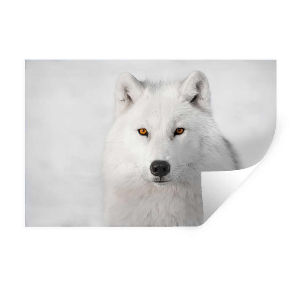 MuchoWow Wandtattoo Wandsticker Wandaufkleber Wolf - Weiß - Schnee 90x60 cm Selbstklebend und Repositionierbar - Aufkleber
