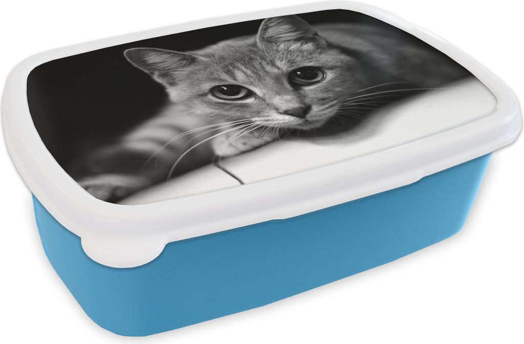 KitchenYeah Lunchbox Brotzeit Brotdose 17x11 cm Katze mit großen Pupillen im Nahbereich - schwarz-weiß Kinder Brotzeitdose - Lunch - Kunststoff...