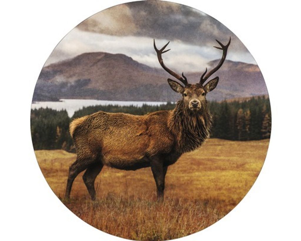 Metallbild Alu Deer In A Field Ø 98 cm