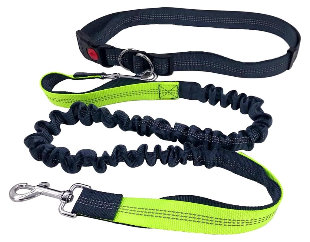 Grau Freihändige Hundeleine mit Verstellbarem Hüftgurt und Dual Griffen, Dehnbare Bungee-Leine, Jogging Hundeleine mit Reflektierenden Nähten