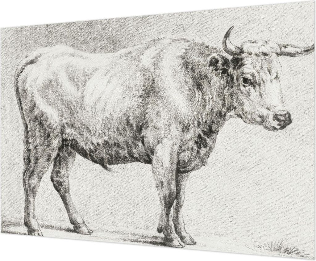 Wandtapete - Dekorative Tapete für Wohnzimmer - Tapetenfolie für Wanddekoration - 312x219 cm - Bullenstift