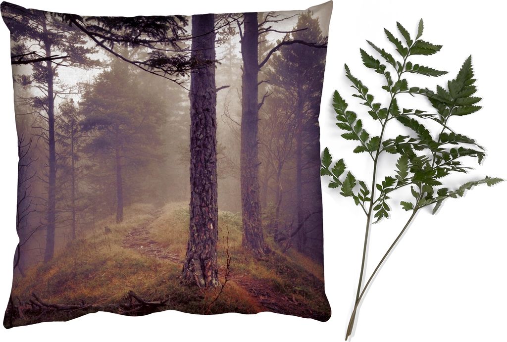 MuchoWow Zierkissen Sofakissen Wohnzimmer Dekokissen 50x50 cm Nebel - Herbstdekoration - Natur - Wald - Komfort - Sofakissen