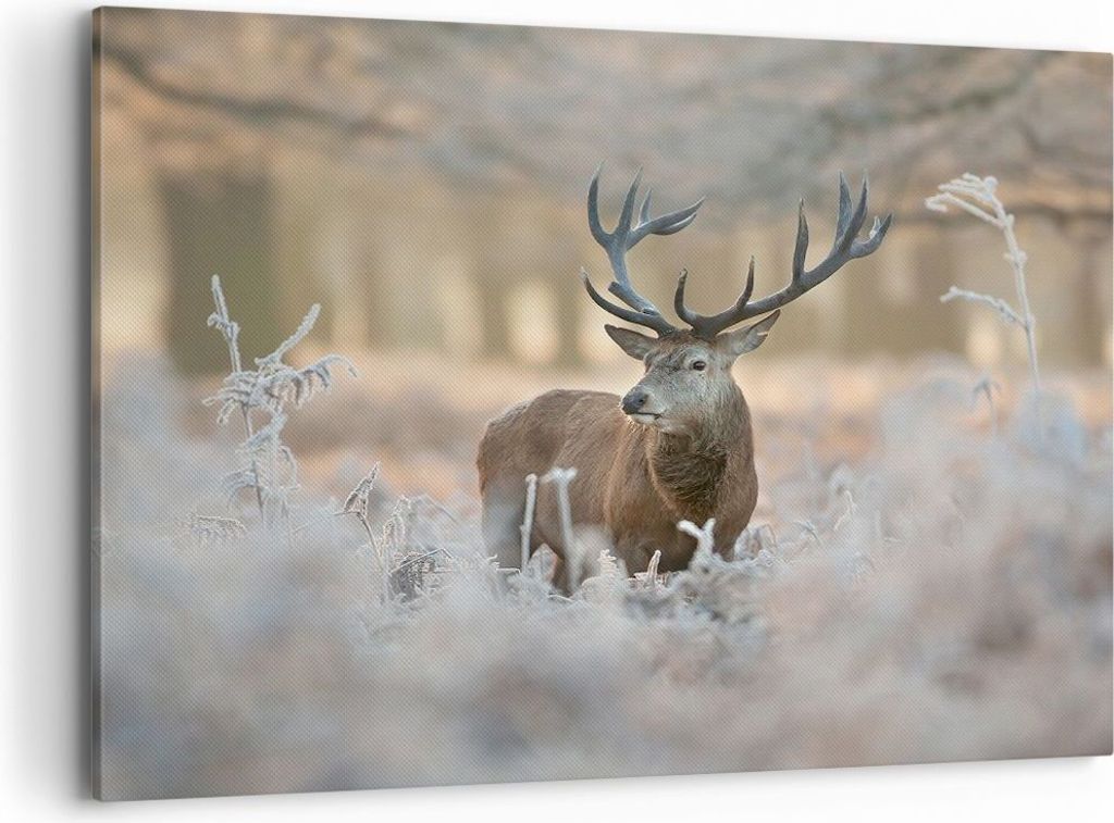 Bild auf Leinwand - Leinwandbild - Hirsch Wald Natur - 100x70cm - Wand Bild - Wanddeko - Wandbilder - Leinwanddruck - Bilder - Kunstdruck - Wanddek...