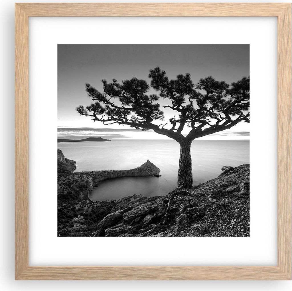 Gerahmtes Poster - Rahmen in heller Eiche - Baum Schwarzweiß Ansicht - 30x30 cm - Wand Bild - Wanddeko - Wandbilder - Wandposter - Bilderrahmen - ...