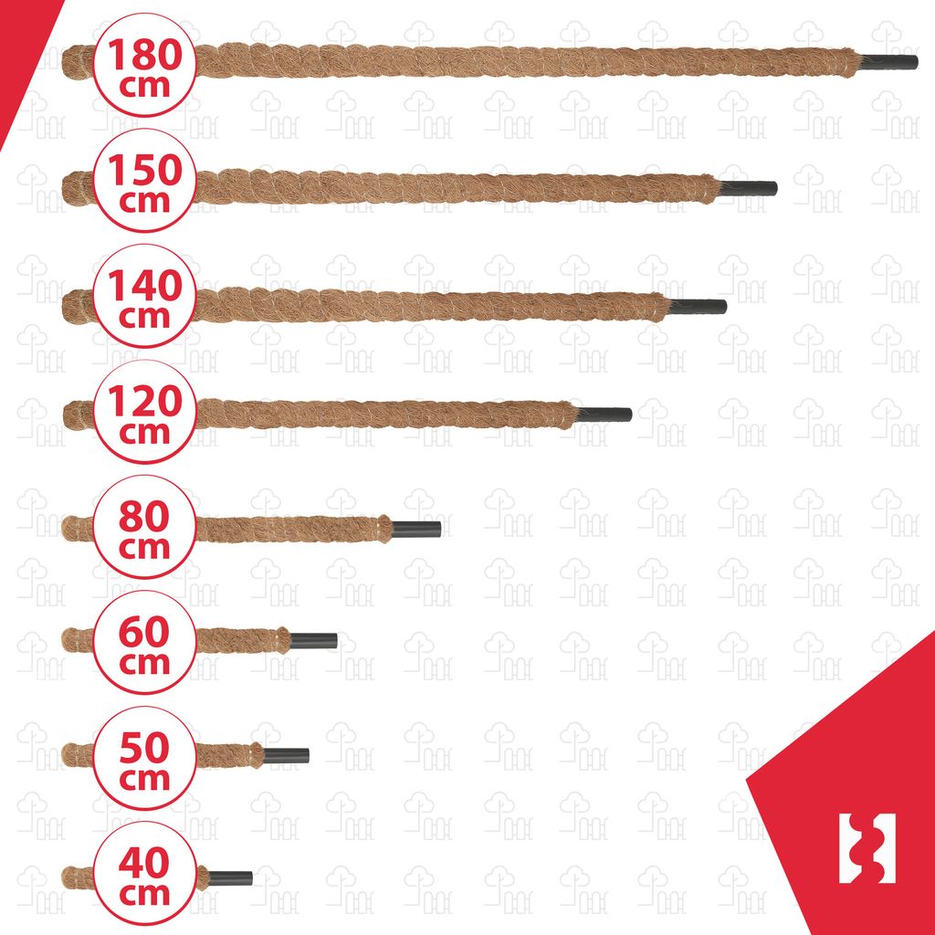 KOTARBAU® Mechová tyč pro Monsteru Kokosová tyč Přírodní ⌀ Obrázek produktu 10
