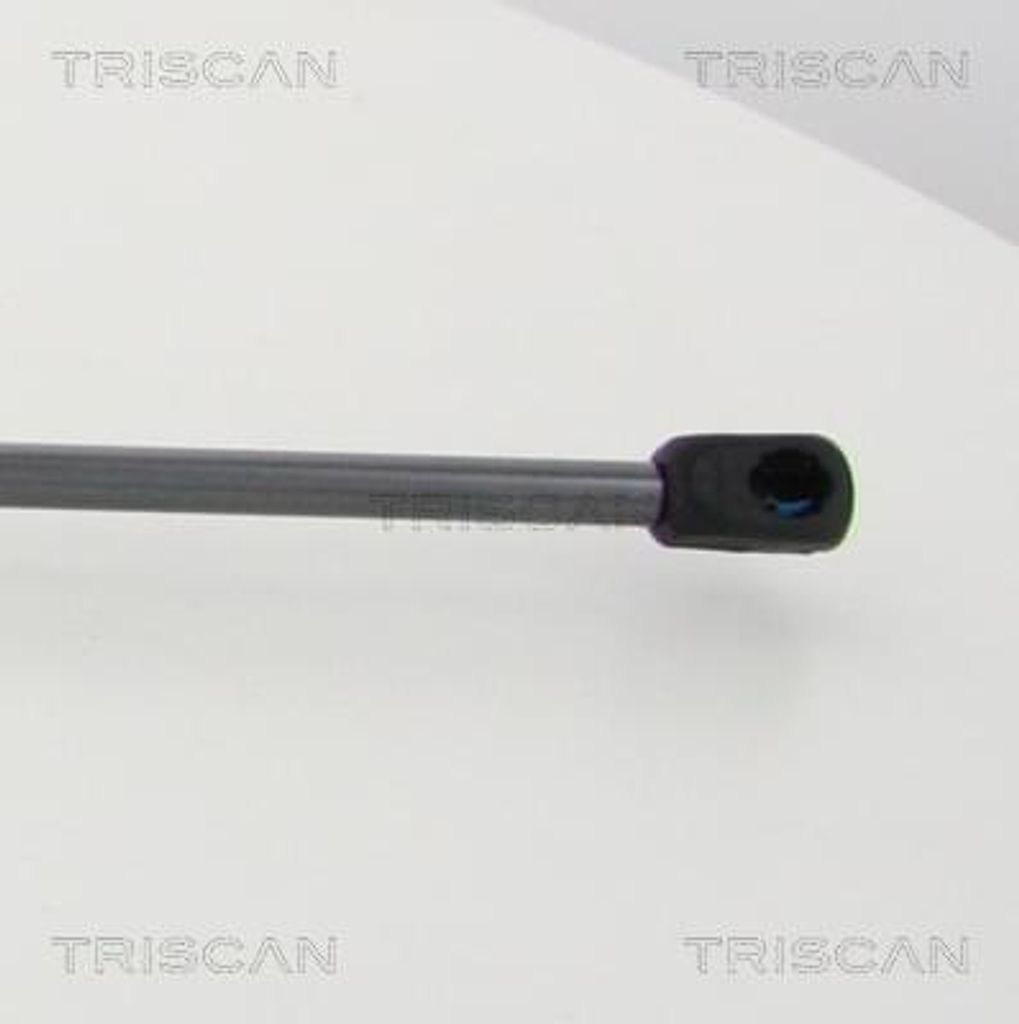 TRISCAN 8710 80217 Motorhauben