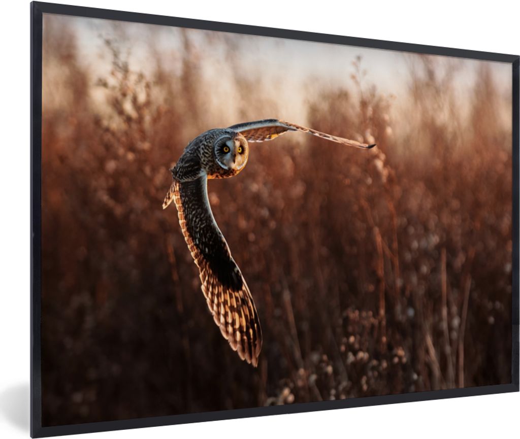 MuchoWow Gerahmtes Poster Vogel - Eule - Sonnenuntergang - Natur 30x20 cm - Poster mit Schwarzem Bilderrahmen Wandposter Rahmen Foto Bilder - Kun...