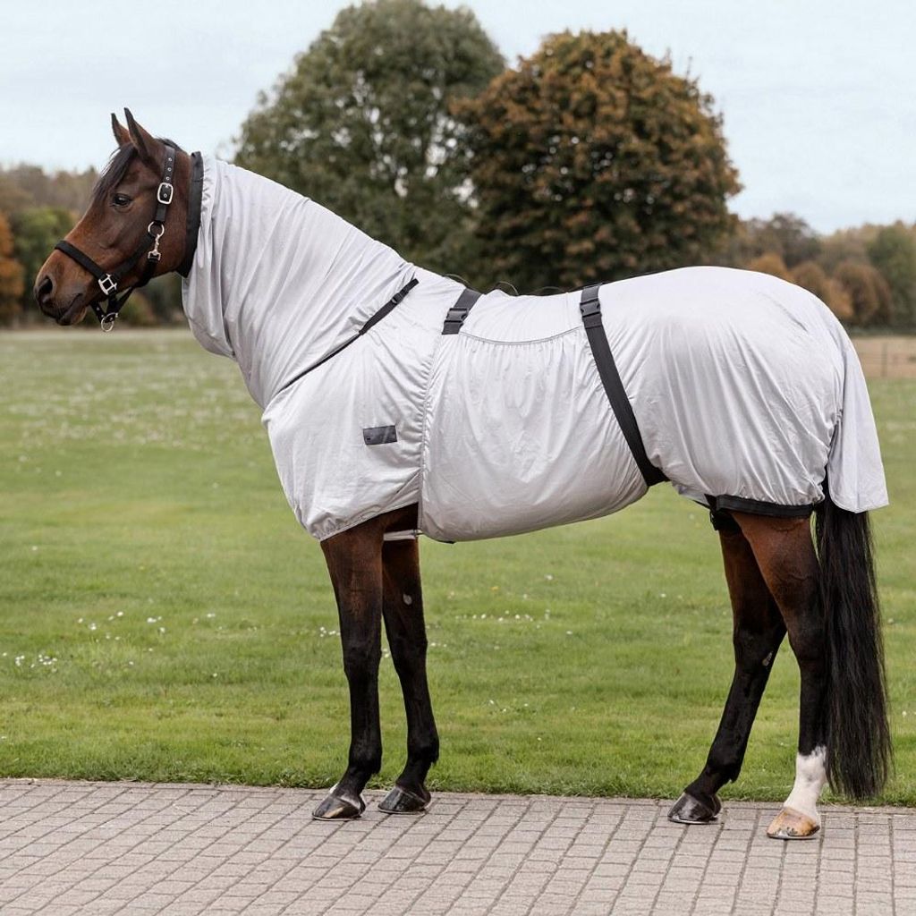 Waldhausen Ekzemerdecke Basic Pferdedecke Silbergrau 145 cm