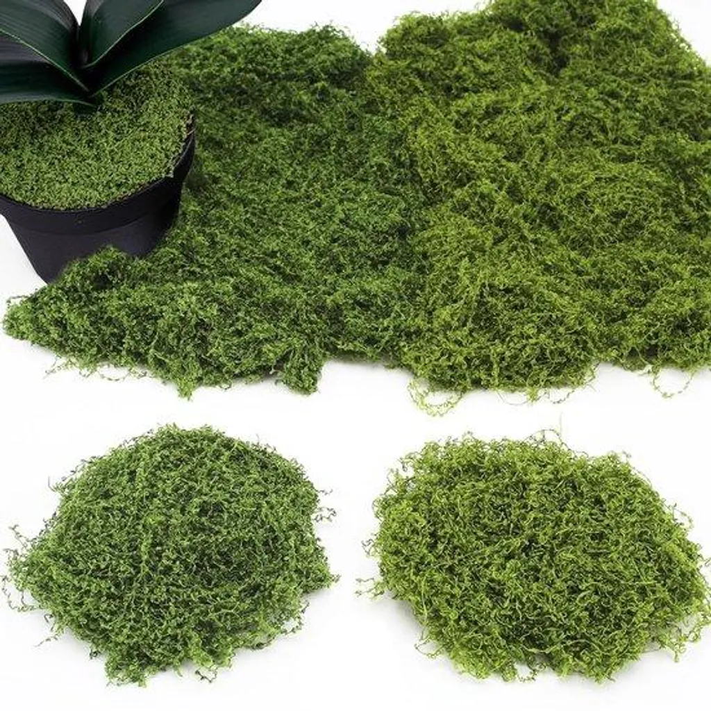 Végétal Artificiel Sans Entretien en Soie et Plastique - Lot de 2 Vert