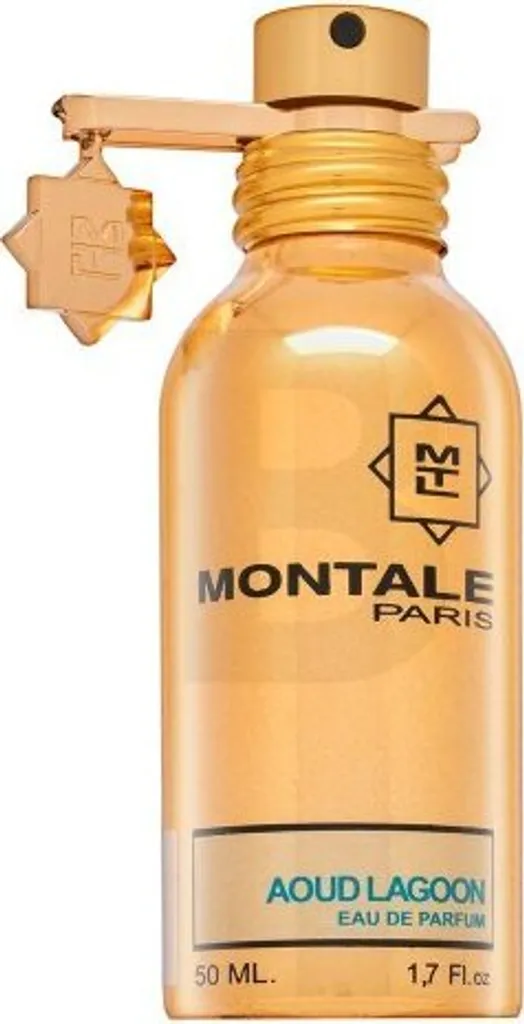 Montale Aoud Lagoon 50ml EDP - Profumo Unisex di Nicchia Prezzo Online