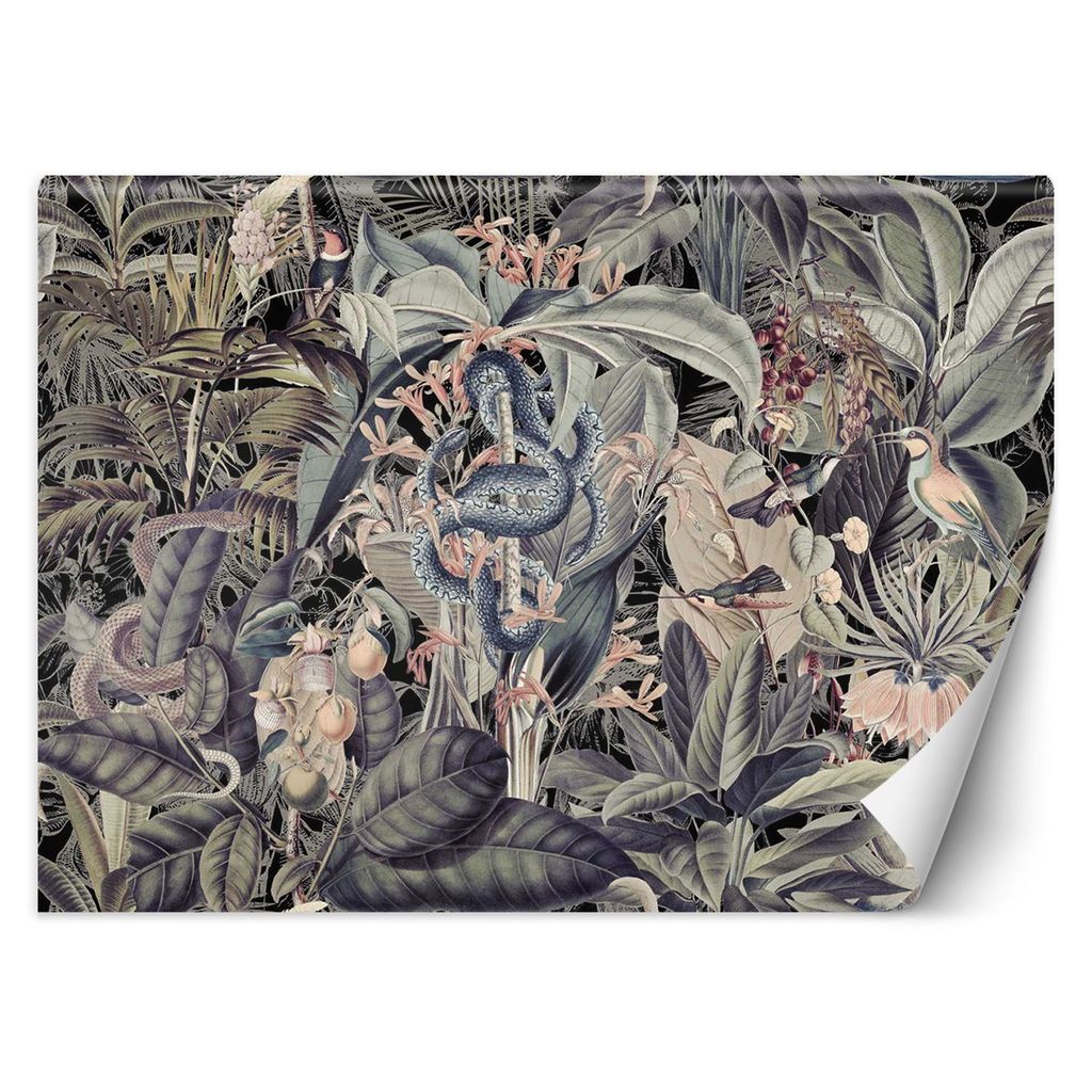 FOTOTAPETE Tropische Blättern Monstera 450x315 cm VLIES Tapete Wandtapete Wandbilder Wanddekoration Design Wohnzimmer Schlafzimmer Flur Büro Küche