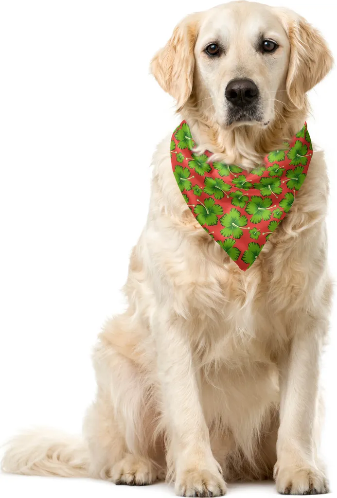 Bandana Cane ABAKUHAUS 55x55 cm Ibisco Corallo Verde Poliestere