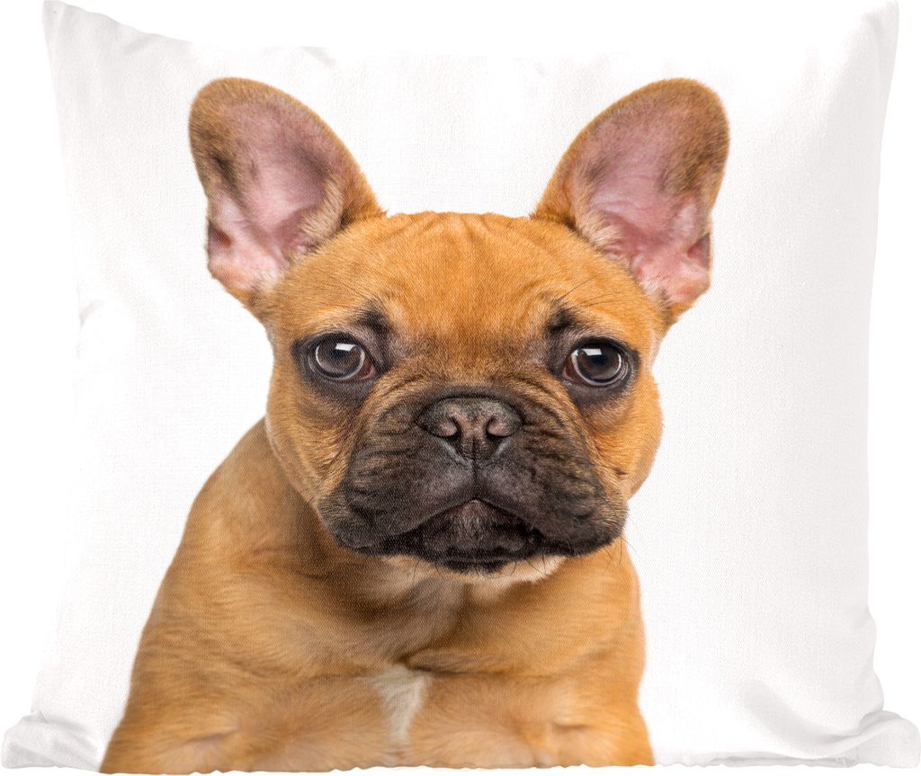 MuchoWow Zierkissen Sofakissen Wohnzimmer Dekokissen 40x40 cm Französische Bulldogge - Braun - Porträt - Sofakissenbezüge - ohne füllung