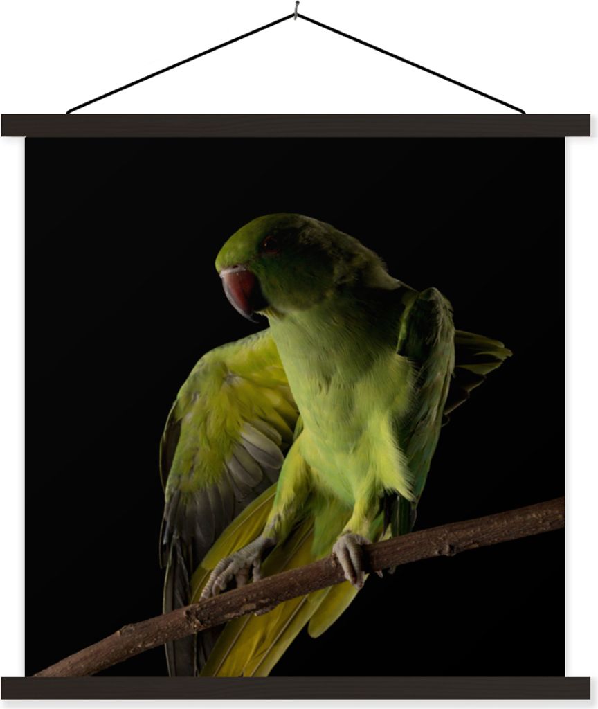MuchoWow Textilposter Papagei - Vogel - Zweig 90x90 cm mit schwarzem Rahmen - Magnetisches