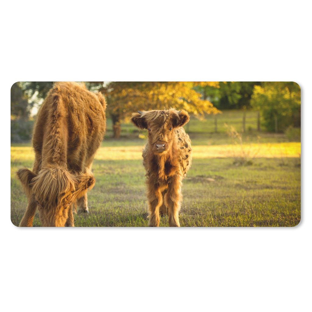 MuchoWow Schreibtischunterlage Schottischer Highlander - Kalb - Herbst 80x40 cm - XXL Mauspad - Gaming Mauspad