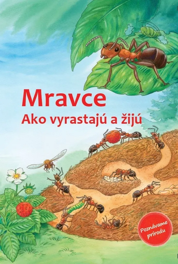 Livre éducatif sur les fourmis pour enfant : Vie et habitat naturel
