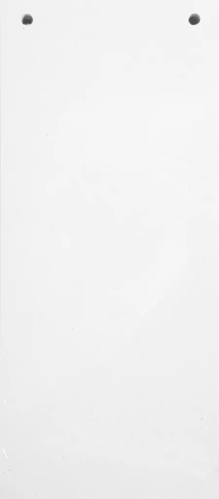 Fiches d'indexation Exacompta 105x240 pour archives et dossiers 12x100