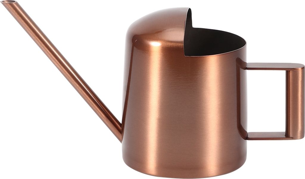 300ml kleine Edelstahl-Gießkanne Pflanze Blume lange Tülle Sprinkler Topf für den Heimgebrauch