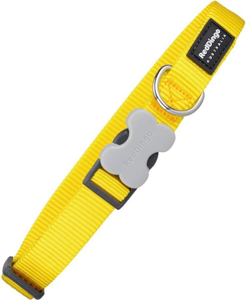 Hundehalsband Red Dingo weich Gelb (2,5 x 41-63 cm)