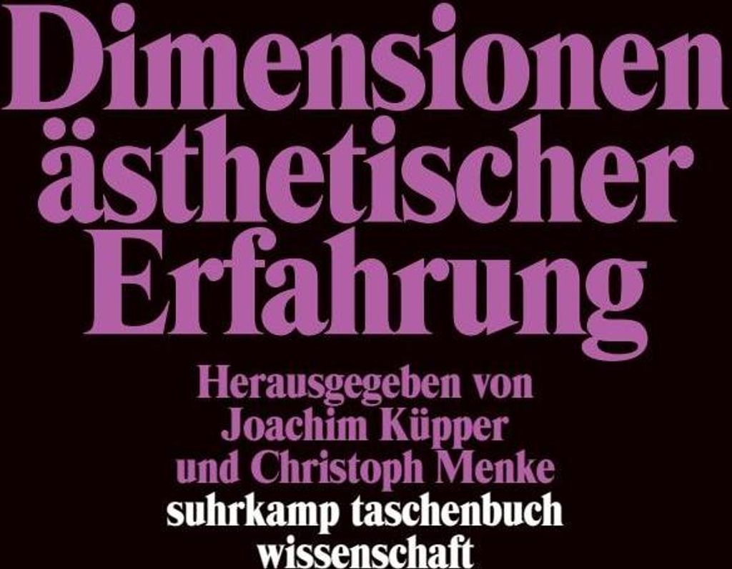 Dimensionen ästhetischer Erfahrung