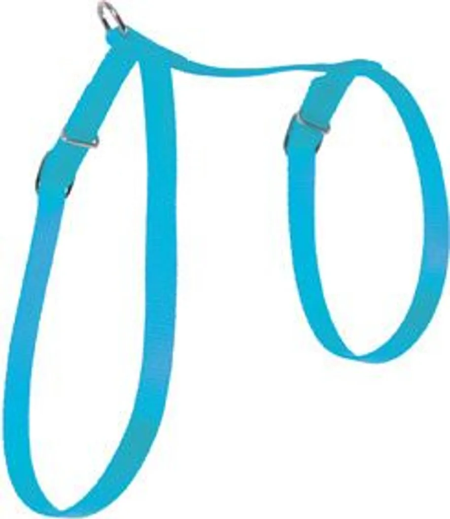 Pettorina Gatto Zolux Nylon 10mm Blu | Sicurezza e Comfort per Micio