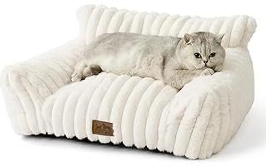 Divano per Gatti Ortopedico Crema 65x44x30cm | Letto Lavabile Small Dog
