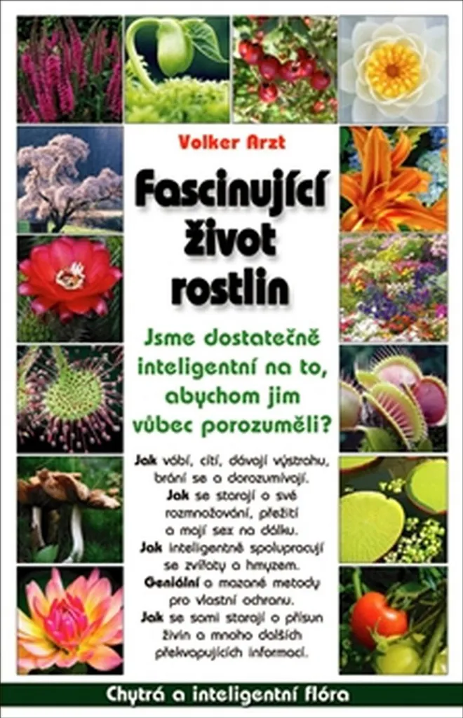 Secret des végétaux et vie des plantes : l'œuvre culte de Volker Arzt