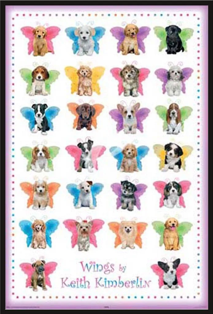 Cadre Shinsuke Maxi avec poster Wings Dogs Keith Kimberlin vitre incassable