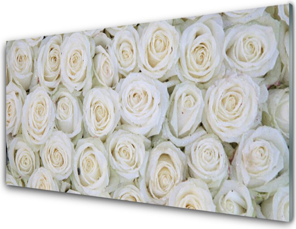 Acrylglasbilder 100x50 Wandbild Druck Rosen Pflanzen