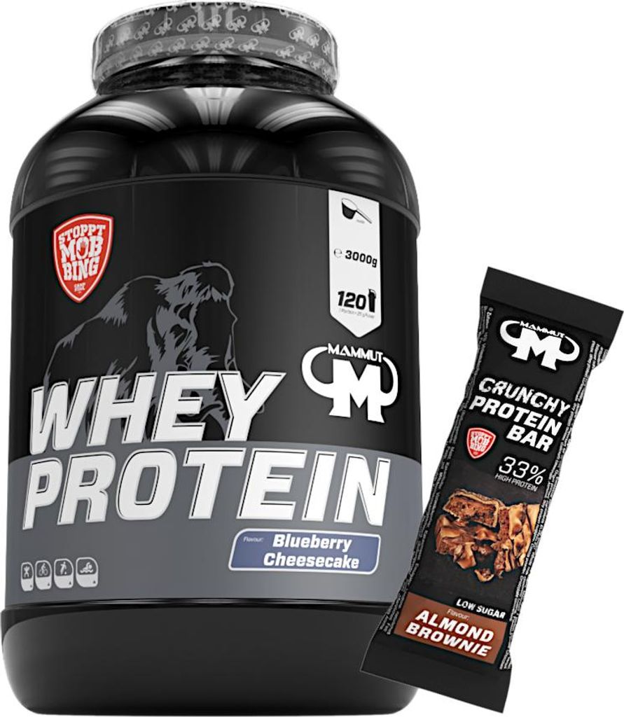 Mammut Nutrition - Whey Protein 3000 g Dose - 120 Portionen Eiweiß + GRATIS Protein Bar (Almond Brownie), Geschmack: Blueberry Cheesecake